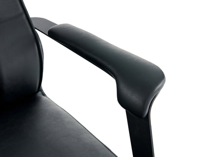 STCH023  salon chair